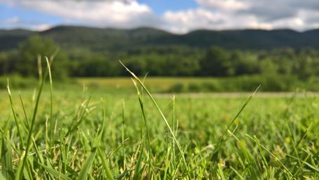 Serene Bulgarian Landscape in 4K Quality wallpaper