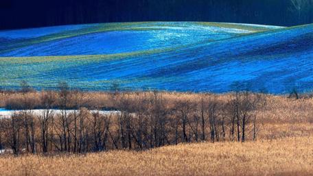 Winter's Tranquil Hills in Snowy Fields wallpaper