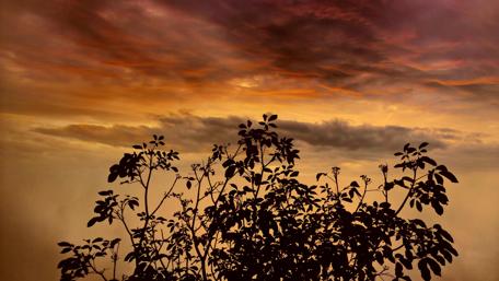 Majestic Orange Sky at Dusk wallpaper