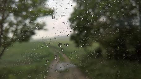 Autumn Raindrops on a Window Pane wallpaper