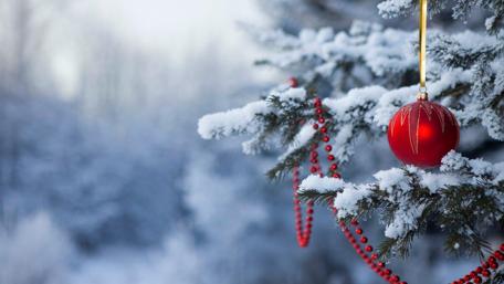 Winter Holiday Elegance wallpaper