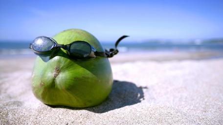 Coconut on the Beach in Sunglasses wallpaper