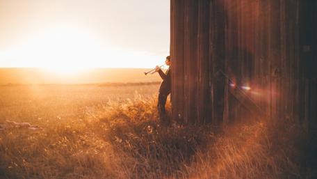 Golden Melody at Sunset wallpaper