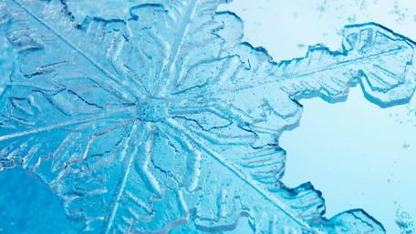 Frozen Elegance: An Abstract Winter Wonderland wallpaper