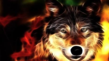 Wolf - Digital art wallpaper