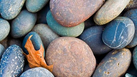 Stones and Leaf Harmony in Nature's Palette wallpaper