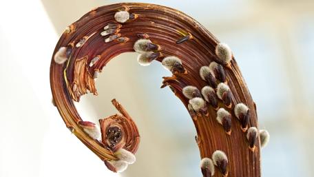 Curved Nature’s Beauty Unveiled wallpaper