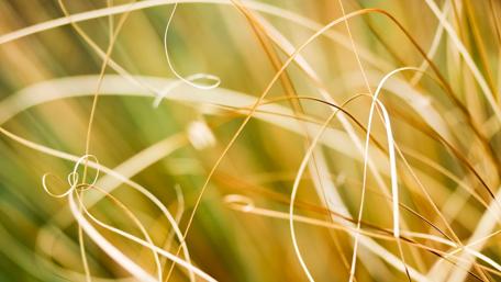 Whispers of Nature's Curves wallpaper