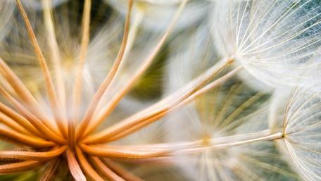 Gentle Breezes of Summer Nature Wallpaper wallpaper