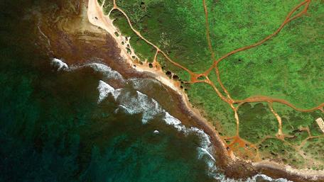 Lush Green Coastline Aerial View wallpaper
