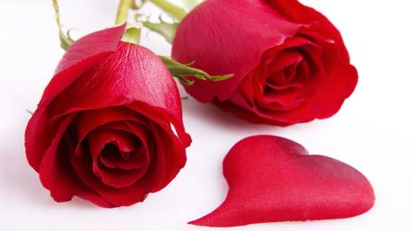 Romantic Red Roses for Valentine's Day wallpaper