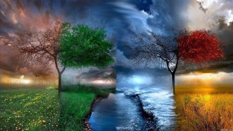 Vivid Nature's Seasons Showcased in Colorful Harmony wallpaper