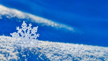 Winter's Delicate Icon: Snowflake Close-Up wallpaper