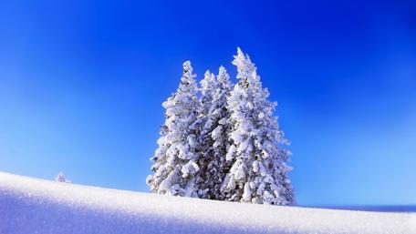 Snow-Capped Solitude Under a Crisp Blue Sky wallpaper