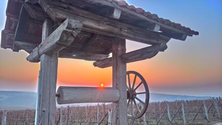 Beautiful Vineyard Sunset in Bulgaria wallpaper