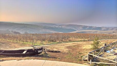 Tranquil Bulgarian Vineyard Landscape wallpaper