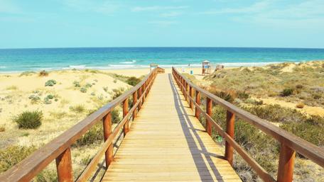 Boardwalk to Serenity: A Summer Escape wallpaper