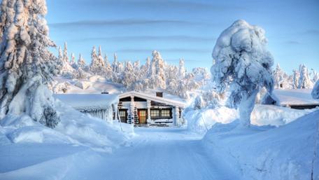 Winter Wonder in Snowy Solitude wallpaper