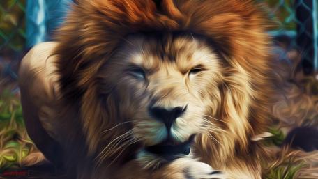 Majestic Lion in Artistic Style wallpaper