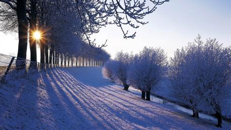 Winter Sunlight Kissed Frosty Landscape wallpaper