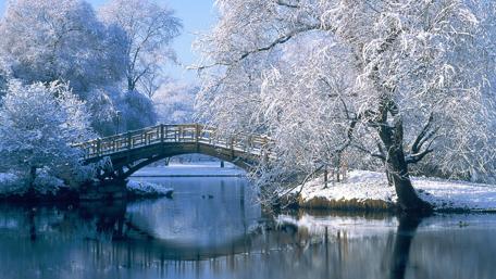 Winter Bridge Over Serene Waters in Nature Scene wallpaper