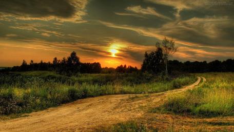 Serene Sunset Road in Nature wallpaper