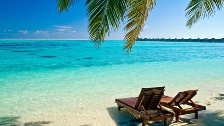 Paradise by the Tranquil Shoreline wallpaper