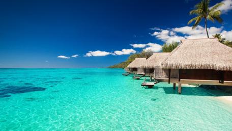 Tropical Paradise by the Crystal Clear Sea wallpaper