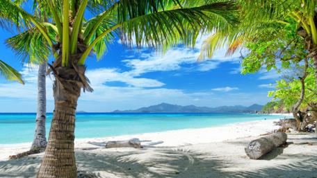 Serene Tropical Paradise by the Shore wallpaper