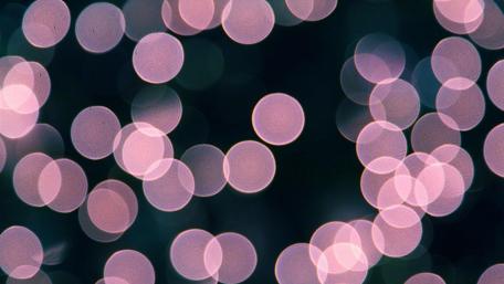 Whispers of Love in Soft Hues wallpaper