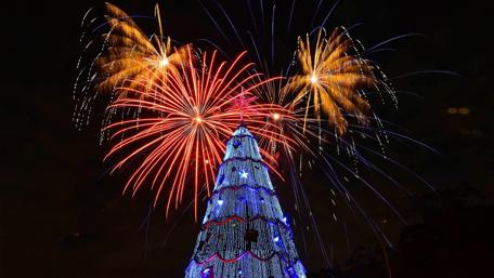 Festive Fireworks Over Ibirapuera Park wallpaper