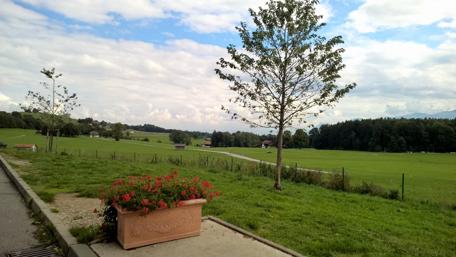 Serene Landscape in Germany with Blooms and Greenery wallpaper