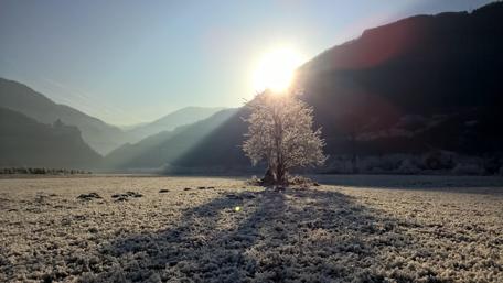 Winter Serenity in Feltre's Frosty Landscape wallpaper