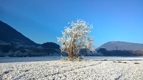 Winter Serenity in Feltre Italy wallpaper