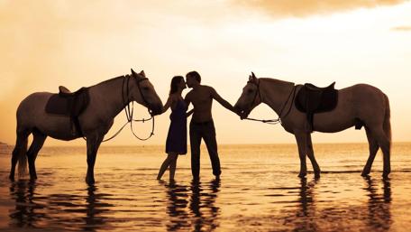 Romantic Sunset Beach Embrace with Horses wallpaper