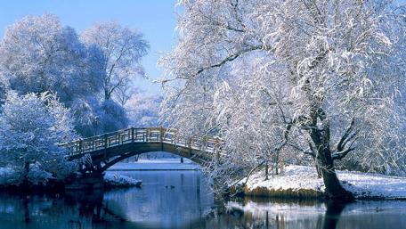 Winter Wonderland Bridge over Frozen Waterway wallpaper