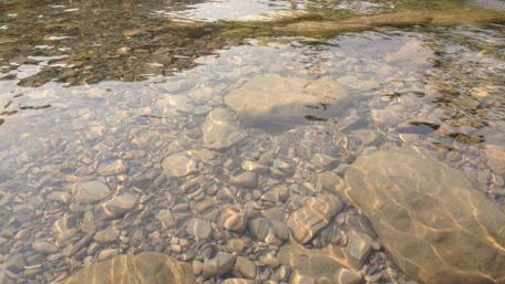 Serene Riverbed with Clear Waters and Stones wallpaper