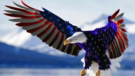Majestic Eagle in Patriotic Glory wallpaper