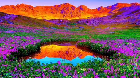 Vibrant Meadow and Mountain Reflection wallpaper