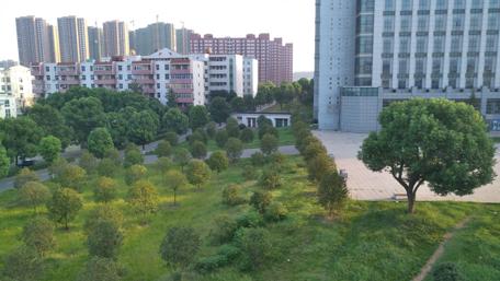 Urban Serenity Amidst Skyscrapers and Greenery wallpaper