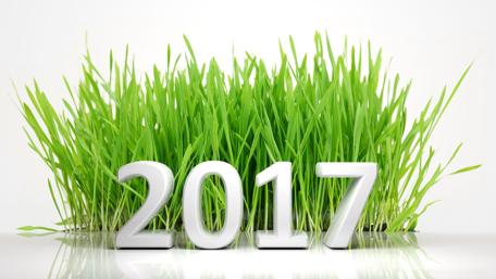 Vibrant New Year Celebration Wallpaper for 2017 wallpaper