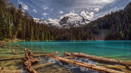 Tranquil Lake Surrounded by Majestic Pines wallpaper