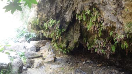 Hidden Oasis Among the Rocks wallpaper