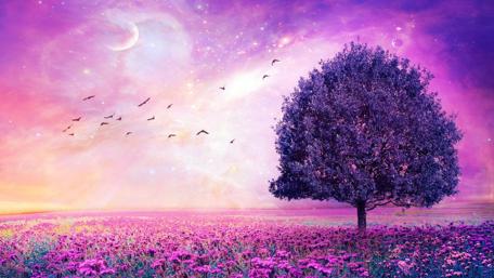 Mystical Twilight Haven wallpaper