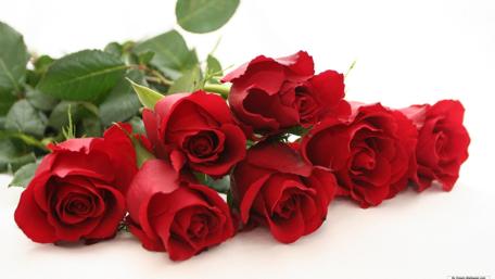 Beautiful Red Roses Bouquet for Your Screen Enhancements wallpaper