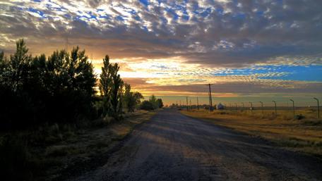Morning Serenity in Nature’s Embrace wallpaper