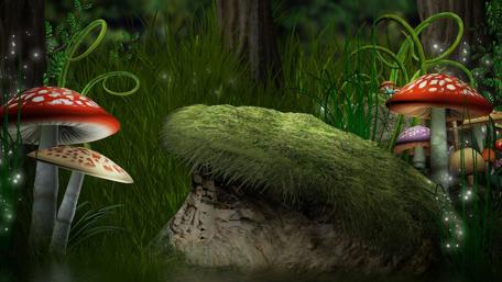 Enchanted Mushroom Glade wallpaper
