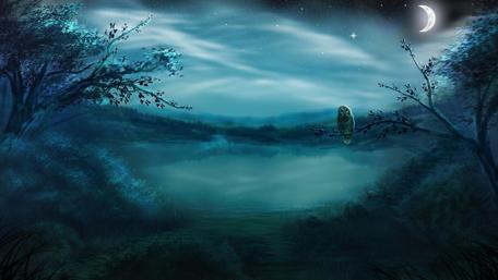 Mystical Owl's Midnight Vigil wallpaper