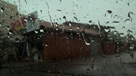 Nature's Reflection Through Rainy Glass wallpaper