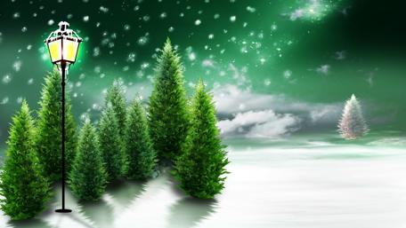 Enchanted Winter Night wallpaper